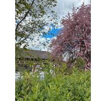 Einfamilienhaus, Winkelbungalow, ca. 850 qm, - Riedlingen