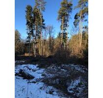 Waldgrundstück Irnsing 93333 - 7,00&nbsp;EUR Kaltmiete, ca.&nbsp; 0,00&nbsp;m&sup2; in Neustadt an der Donau (PLZ: 93333)