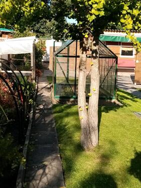 Foto - Grundstück zur Miete in Oldenburg