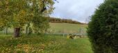 Foto - Baugrundstück Nähe Alfeld (Everode) Natur pur
