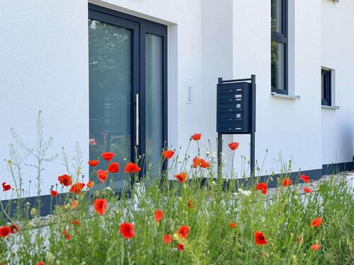 Foto - 3 Zimmer Etagenwohnung zur Miete in Bad Düben