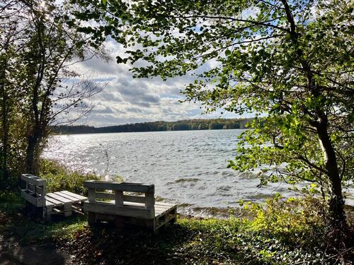 Foto - Grundst&uuml;ck in Werder (Havel)