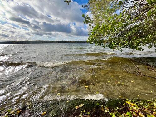 Foto - Grundst&uuml;ck in Werder (Havel) zur Miete