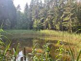Foto - Grundstück zur Miete in Lauf an der Pegnitz