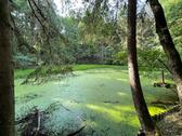 Foto - Grundstück in Lauf an der Pegnitz zur Miete