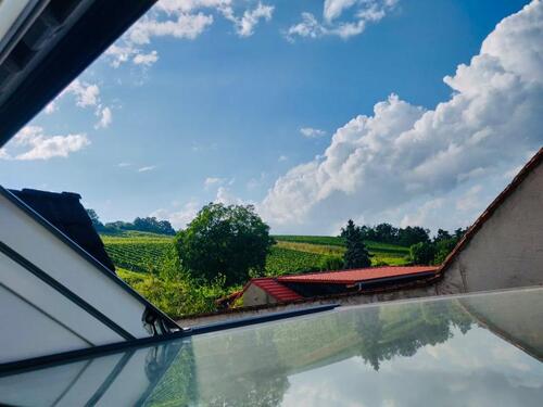 Foto - Etagenwohnung in Bingen am Rhein zur Miete