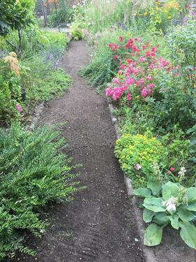 Foto - Grundst&uuml;ck zur Miete in Elsterwerda