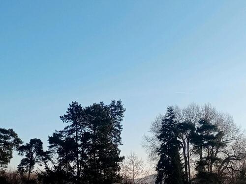 Foto - 3ZKB in Top-Lage mitten in der Natur; Lorsch