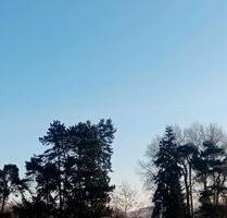 3ZKB in Top-Lage mitten in der Natur; Lorsch