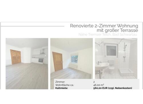 Foto - Vermietung: 2-Zimmer Souterrain-Wohnung mit großer Terrasse