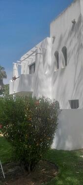 Foto - Apart. 60 m2 möbl. zu vermieten von Dez. März, Alvor , Algarve,