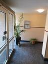 Foto - Etagenwohnung in Hannover zum Kaufen