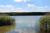 Foto - Freifläche in idyllischer Lage bei Storkow