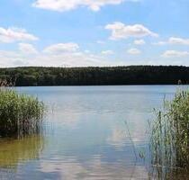 Freifläche in idyllischer Lage bei Storkow - Storkow (Mark)
