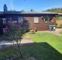 Ferienhaus - Holzhaus im Wacholderpark Wietze- Hornbostel