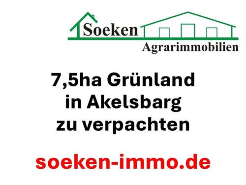 Foto - 7,5ha Grünland in Großefehn zu verpachten *HF2606*