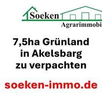 7,5ha Grünland in Großefehn zu verpachten *HF2606*