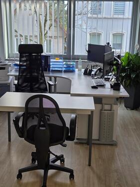 Foto - andere in Horn-Bad Meinberg