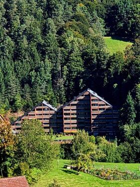 Foto - Ferienwohnung Baiersbronn Tonbachtal