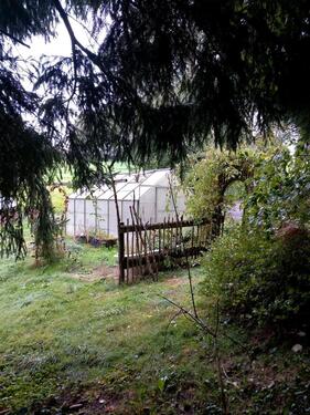 Foto - Einfamilienhaus in Egglham zum Kaufen