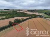 Foto - Kompakte Ackerfläche für Jedermann bei Halle (Saale) - ca. 1330 m²