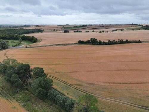 Foto - Grundstück zum Kaufen in Teutschenthal