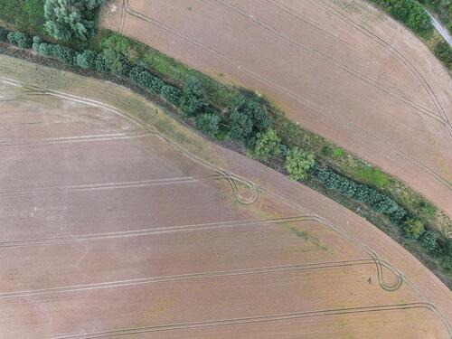 Foto - Grundstück in Teutschenthal