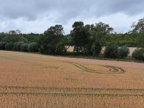 Foto - Grundstück in Teutschenthal zum Kaufen