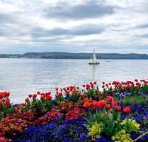 Kleine Ferienwohnung in ÜberlingenBodensee zu vermieten