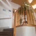 Foto - Wohnung in Pausa Ortsmitte, ca 44m² zu vermieten
