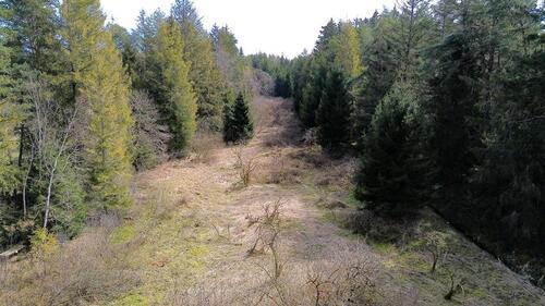 Foto - Landwirtschaftliche Fläche (Wald und Wiese) ca. 8,081 m²