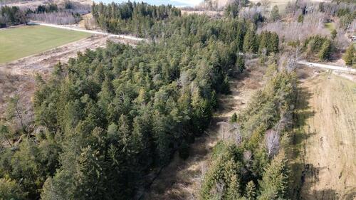 Foto - Grundstück in Eggstätt