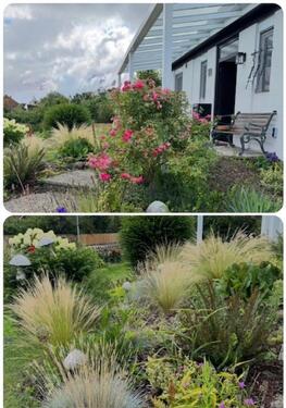 Foto - Modernisiertes Familienparadies in Burgdorf-Weststadt