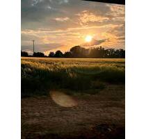 6-Zimmer Wohnung, Wohnen am Ortsrand, große Erdgeschoss-Wohnung - Großmehring