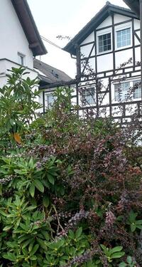 Foto - Wohnung zu vermieten - 500,00 EUR Kaltmiete,