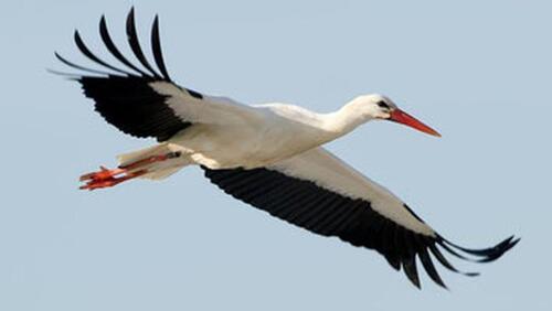 Foto - Etagenwohnung in Prenzlau