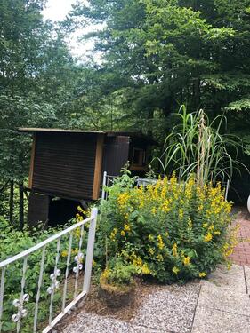 Foto - andere zur Miete in Edertal