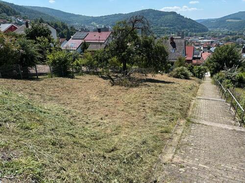 Foto - Gartengrundstück in Eberbach zu verpachten!