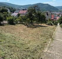 Gartengrundstück in Eberbach zu verpachten!