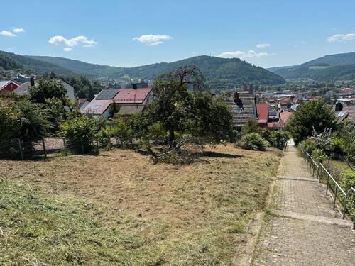 Foto - Grundstück zur Miete in Eberbach