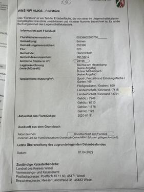 Foto - 