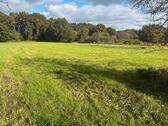 Foto - Landwirtschaftliche Fläche GrünlandNaturschutzgebiet Brünen