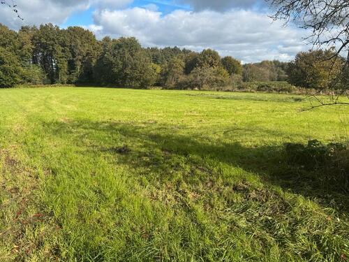 Foto - Landwirtschaftliche Fläche GrünlandNaturschutzgebiet Brünen