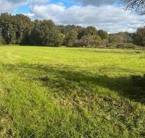 Landwirtschaftliche Fläche GrünlandNaturschutzgebiet Brünen - Wesel Fusternberg