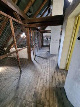 Foto - andere in Hannover