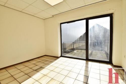 Foto - andere in Lohne (Oldenburg) zur Miete