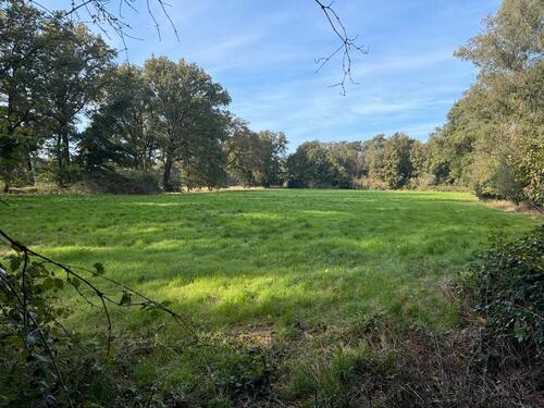 Foto - Landwirtschaftliche Fläche Grünland in Hamminkel-Brünen