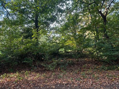 Foto - Grundstück in Wesel