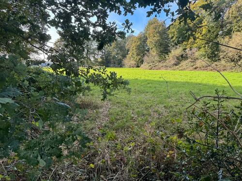 Foto - Grundstück in Wesel zur Miete