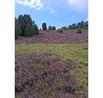 Neue Ferienwohnung in Bad Fallingbostel, Zentral 